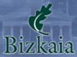 Diputacin Foral de Bizkaia-Bizkaiko Foru Aldundia