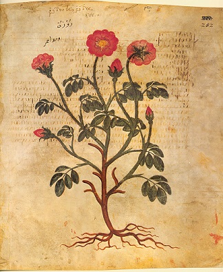 Codex Vindobonensis 1