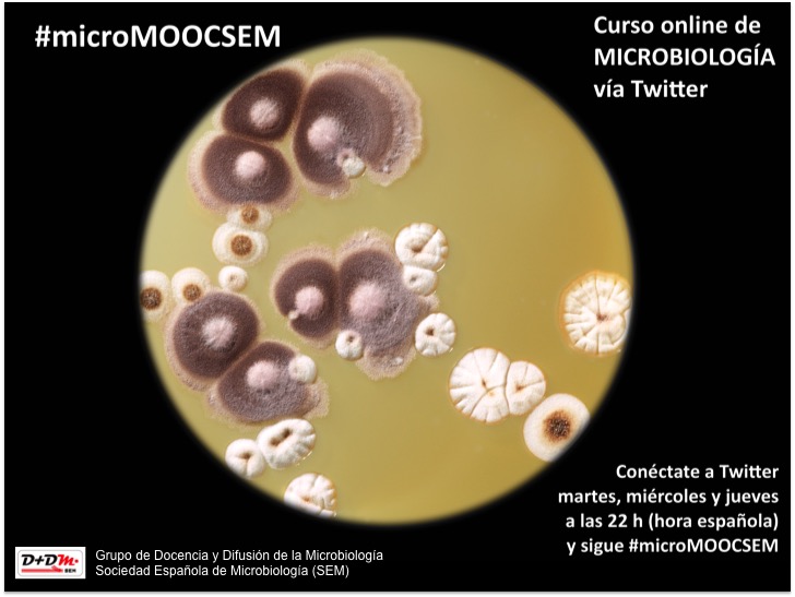 microMOOCSEM 2