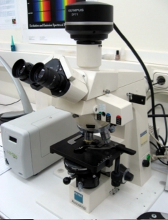 Zeiss Axioskop
