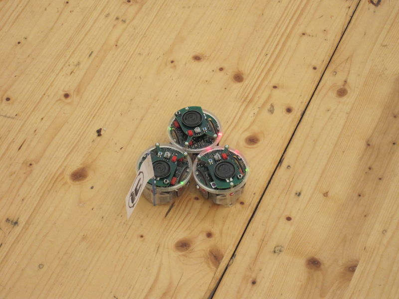 Archivo:Img 0321.jpg