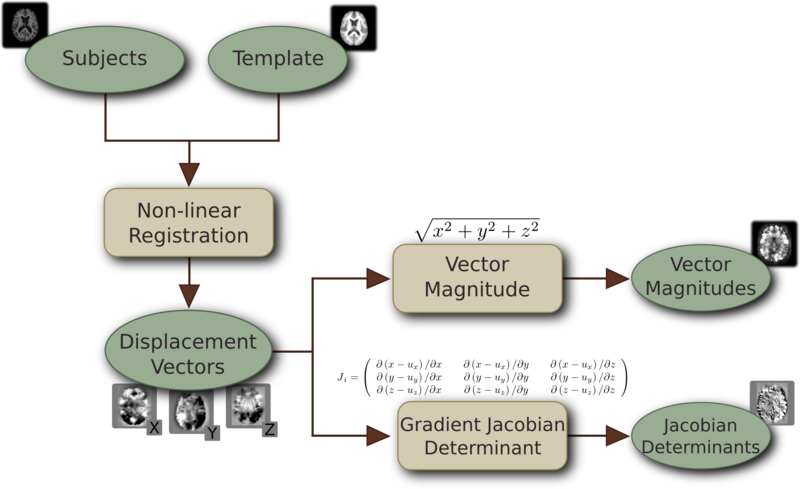 Archivo:Registration deformation calculation.png