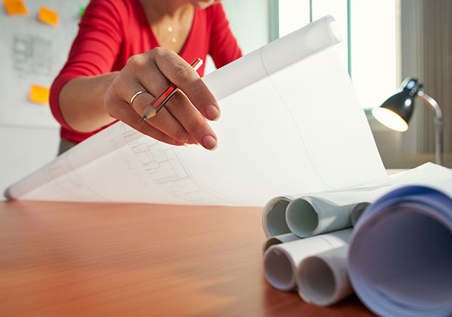 Salidas profesionales