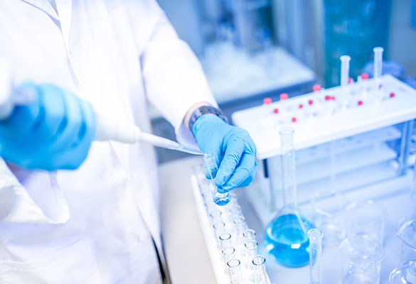 4 razones para elegir este máster: