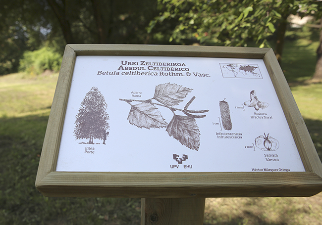 Inaugurada la nueva señalización de especies del Arboretum de la UPV/EHU