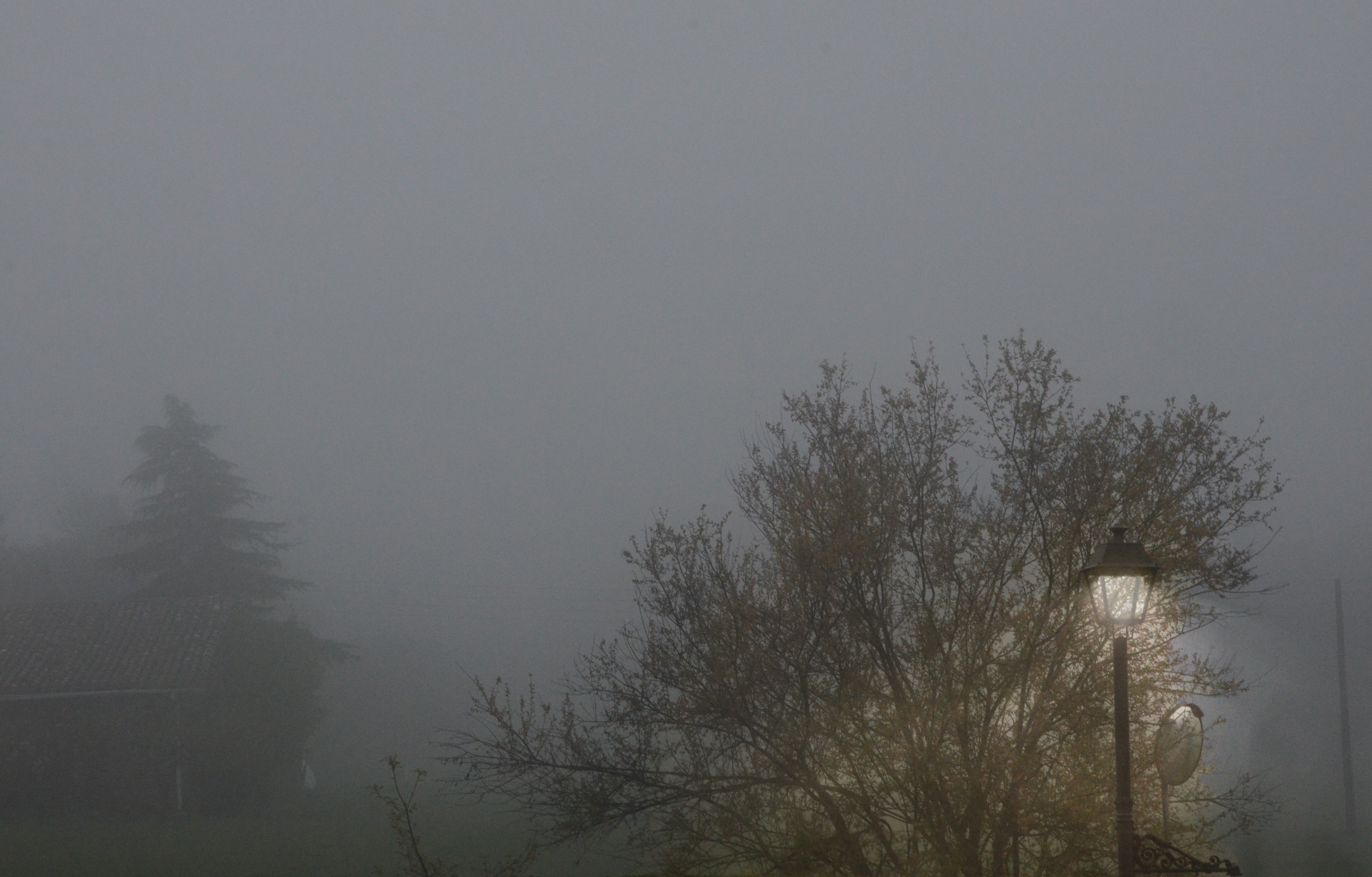 Un paisaje neblinoso, completamente cerrado. A la derecha, vemos una farola encendida que ilumina las ramas de un árbol. Al fondo se divisan entre la niebla un caserío y un pino.