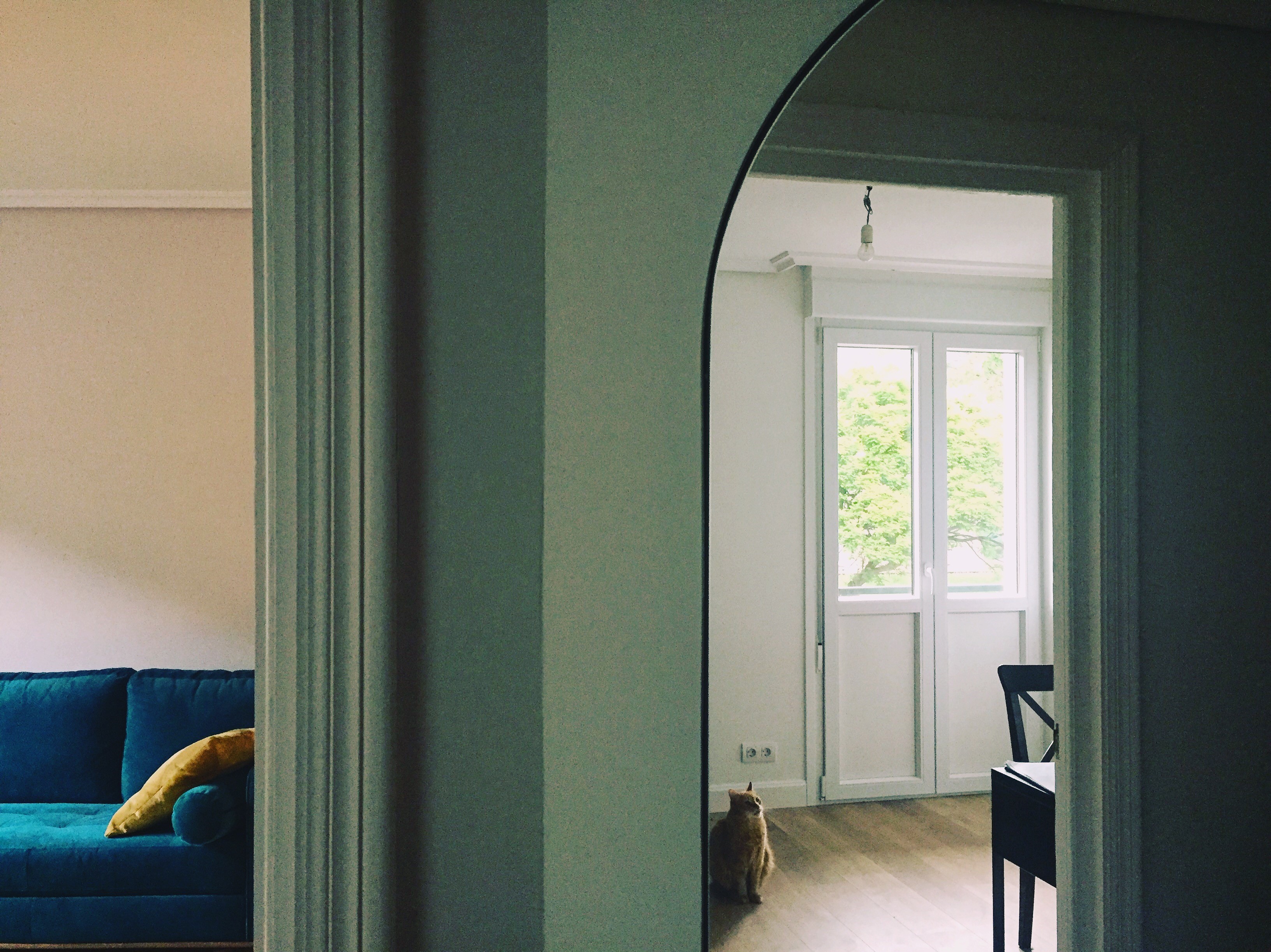 Vemos una habitación turquesa con un espejo ovalado en la parte derecha. El espejo refleja una sala blanca apenas amueblada con una silla negra, una bombilla colgando y una puerta acristalada también blanca que da a un balcón desde el que se entrevé un árbol. En una esquina del reflejo un gato marrón alza la mirada como con curiosidad. En el otro lado de la habitación se abre una puerta que deja entrever un sofá azul con un cojín amarillo recostado.