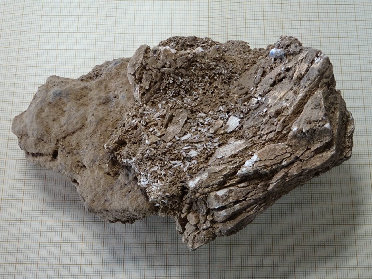 Marfil zatia, mamut letagin batetik datorrena, Aurignac aldikoa (33.000-40.000 urte)