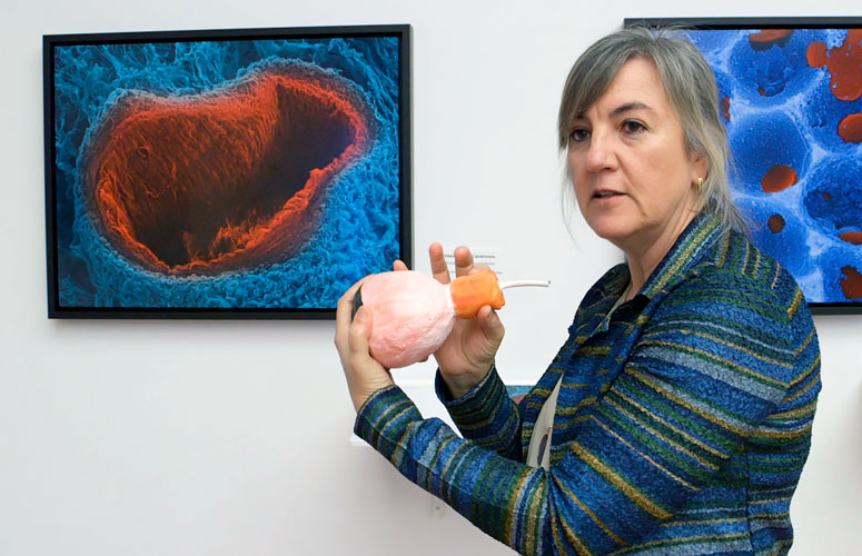 Elena Vecino en la exposición de arte y ciencia: “el ojo de la ballena”. Laura López. Oficina de Comunicación. UPV/EHU.
