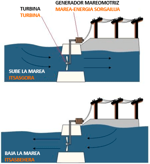 Figura 2, en algunos lugares el desnivel puede alcanzar varios metros entre la marea baja (bajamar) y la marea alta (pleamar).