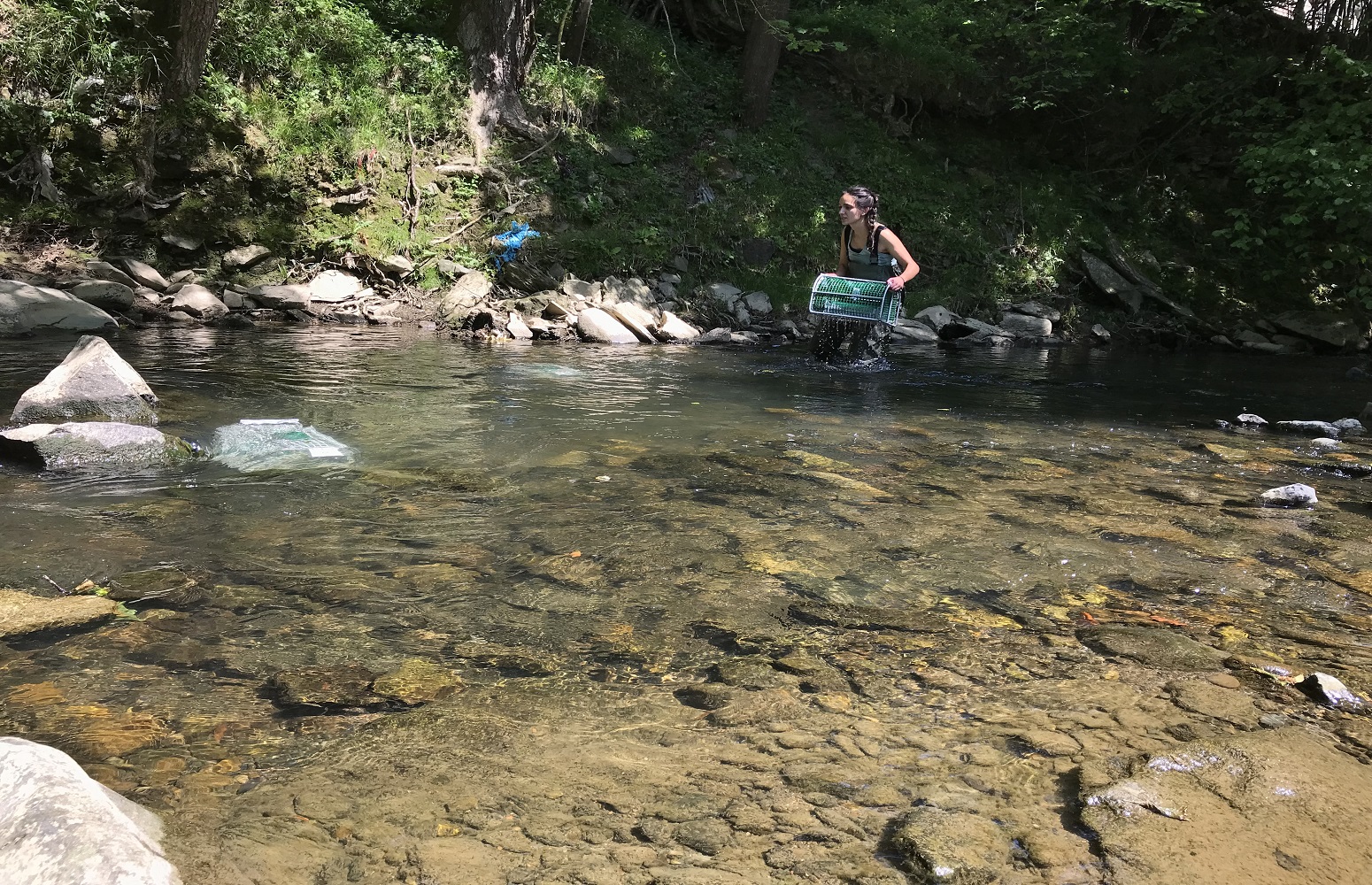 Irene Beltrán during fieldwork practice in the river.