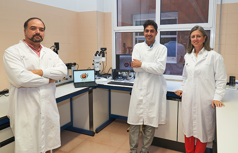 Researchers from the UPV/EHU's Microfluidics Cluster