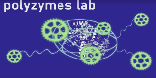 Polyzymes - Facultad de Química - EHU