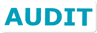AUDIT