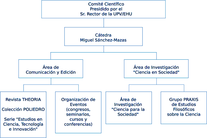 Estructura organizacional de la CSM