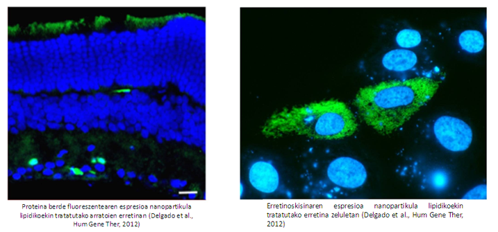 Líneas de investigación