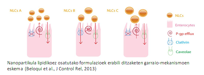 Líneas de investigación