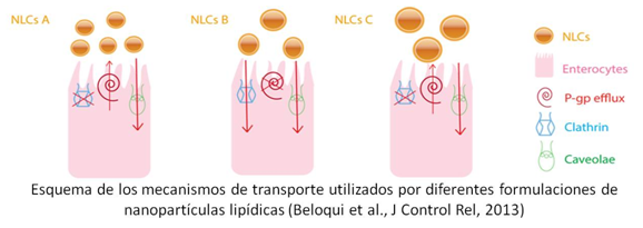 Líneas de investigación