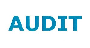 AUDIT