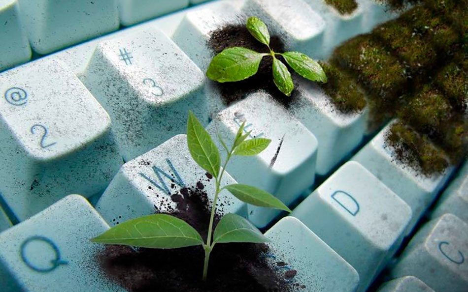 Información de la convocatoria y documentos