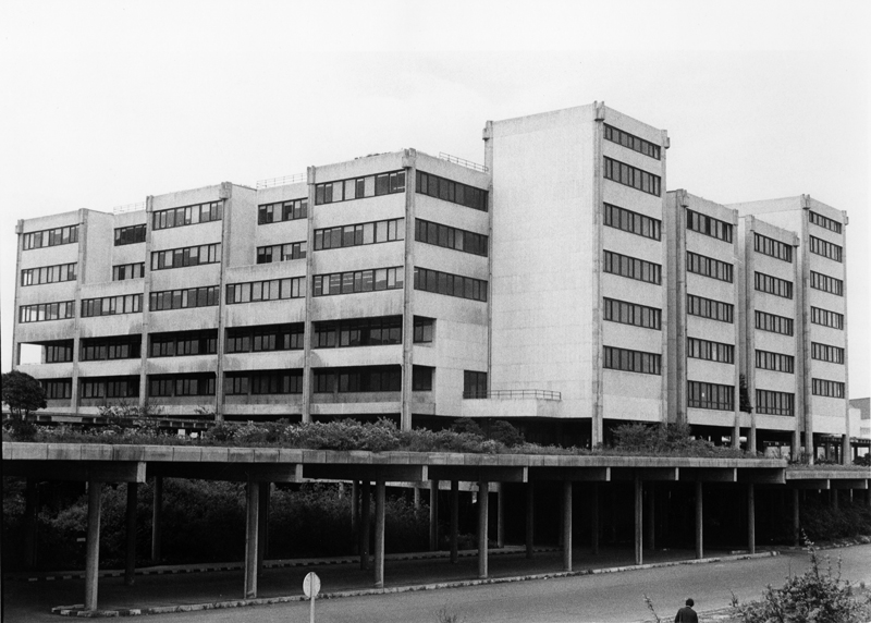 Leioako campusa (1984)