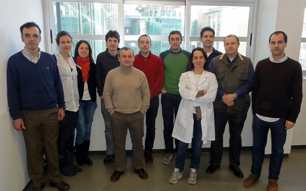 Applied Photonics Group (Bilbao - Spain)