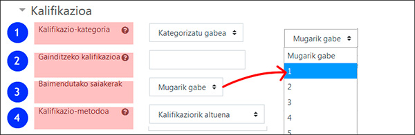 Kalifikazioarekin lotutako aukerak