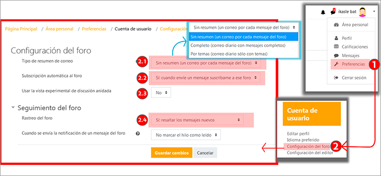 Muestra la pestaña preferencias de usuario