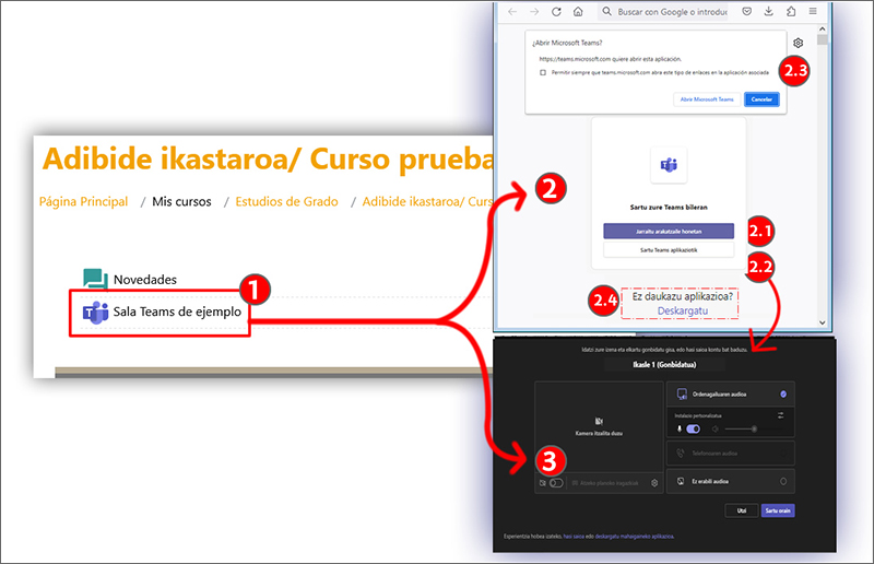 Irudiak aukerak erakusten ditu “Bideokonferentzira sartu” sakatzen denean