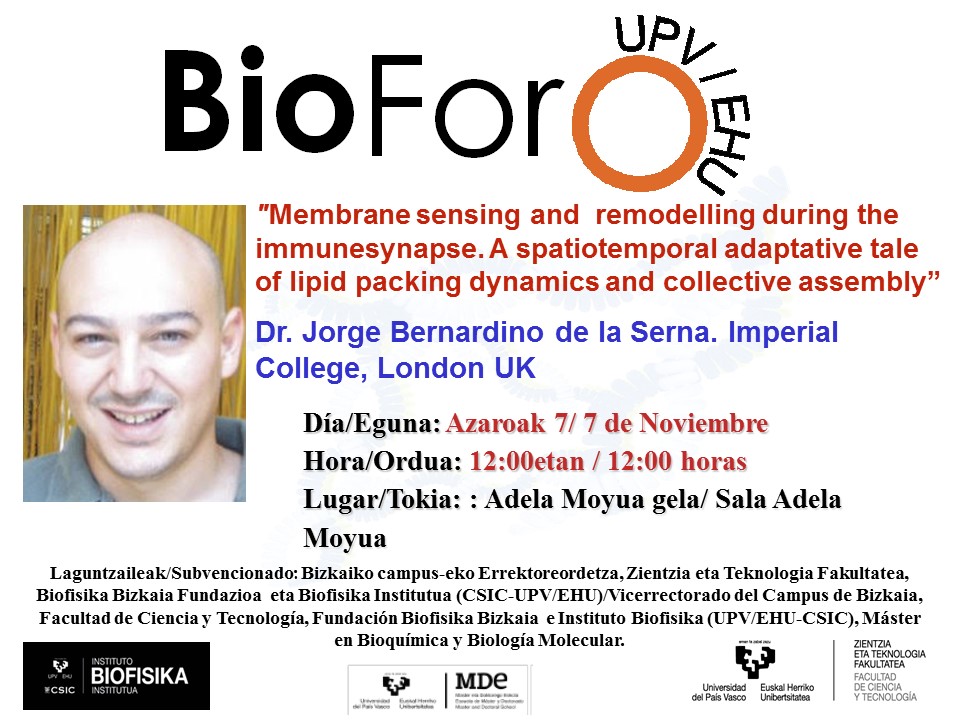 Bioforo Bernardino Membrane sensing and  remodelling during the immunesynapse. A spatiotemporal adaptative tale of lipid packing dynamics and collective assembly