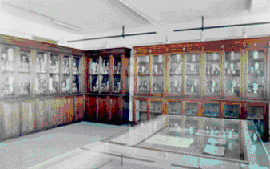Pharmacy Room 1