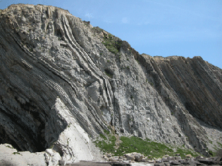 Eocene carbonate slope calciturbidites and 35 m thick slump-debrite (Galea, Biscay, Basque Country)