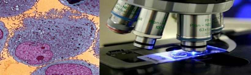 Anatomia Patologikoa