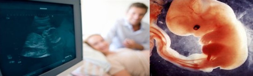 Obstetrizia eta Ginekologia