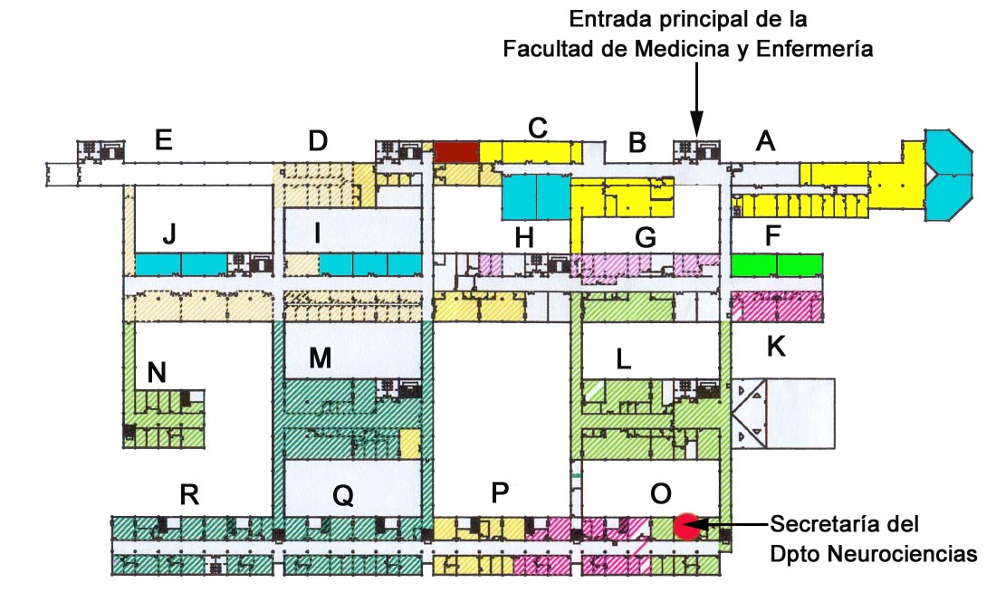 Sailaren kokapen mapa Medikuntza eta Erizaintza Fakultatean