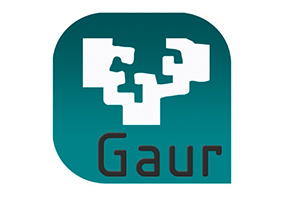 GAUR