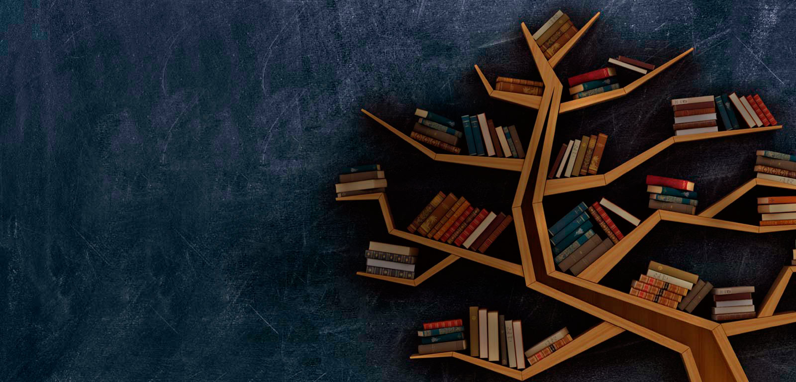 MASTER’S DEGREE IN PSYCHOPEDAGOGY: PSYCHOLOGY OF EDUCATION AND SPECIFIC TEACHING METHODS