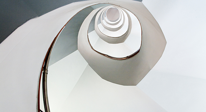 Zuzendaritza Organoak