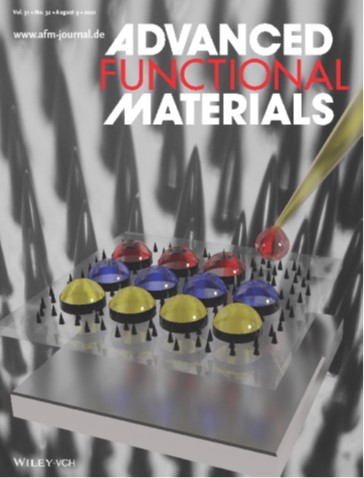Advanced Functional Materials 2021