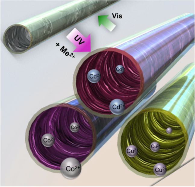 Sensors Paper Accepted! Microfluidics Research Group UPV/EHU