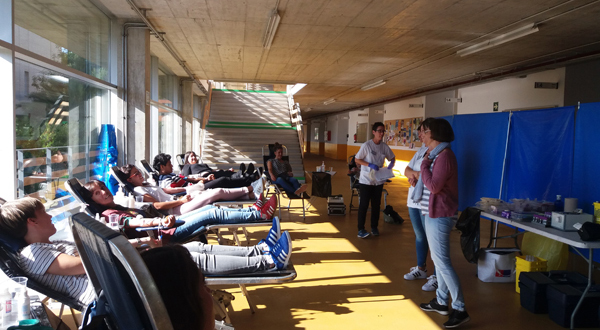 Odola emateko ekimena