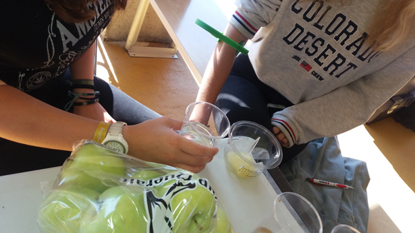 Odola emateko ekimena