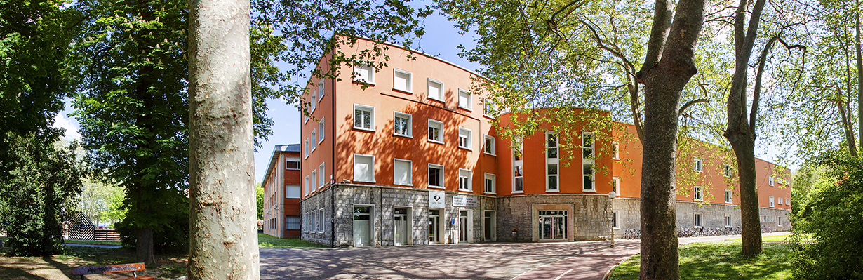 Faculty of Education and Sport - Education