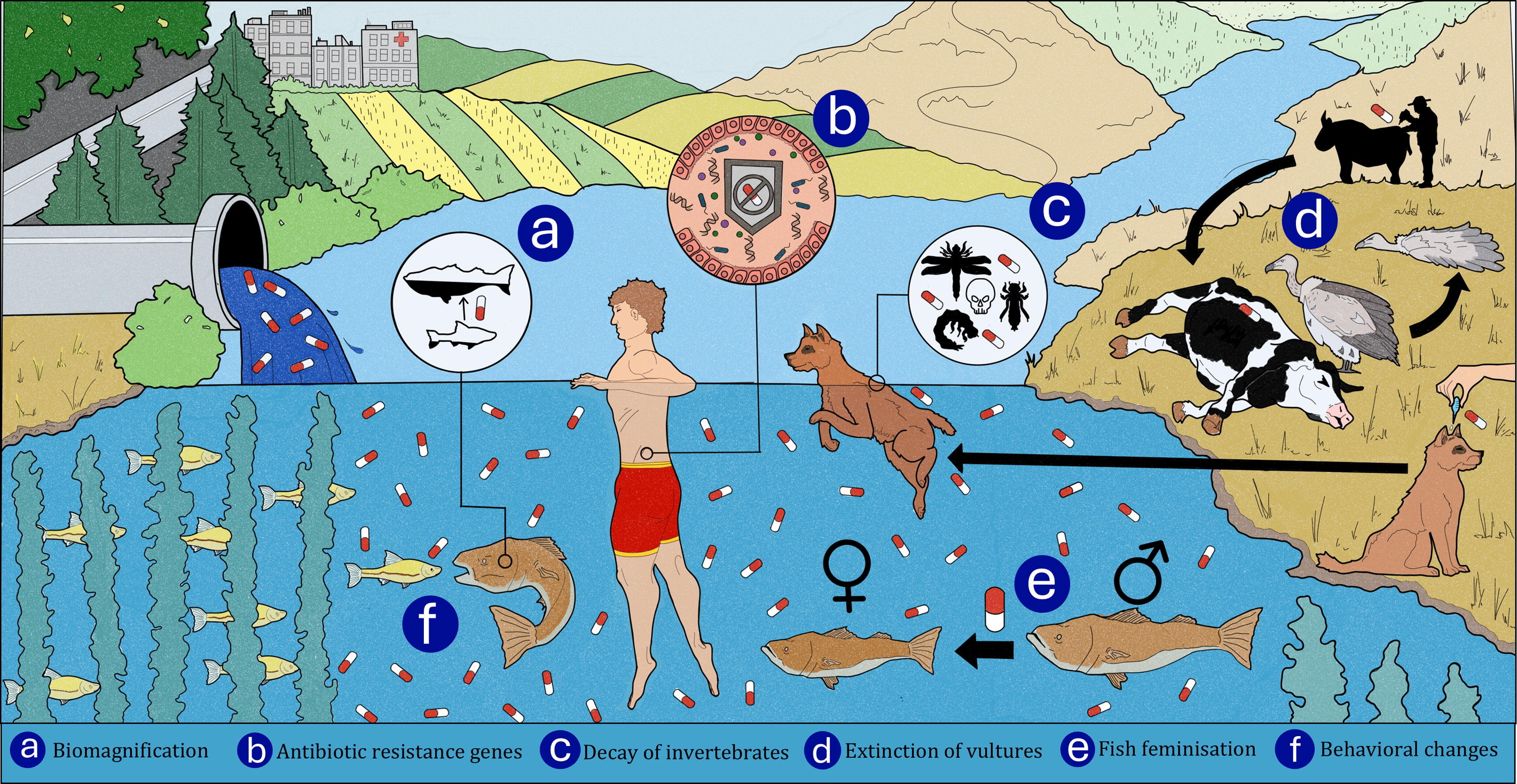 Ingurumeneko Farmakoetako eraginaren adierazpena
