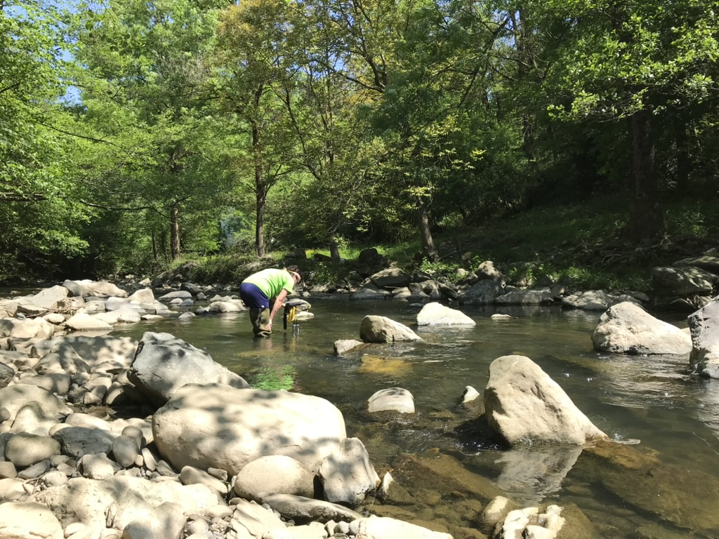 Irene Beltrán de Heredia, catedrática del área de conocimiento de Tecnologías del Medio Ambiente