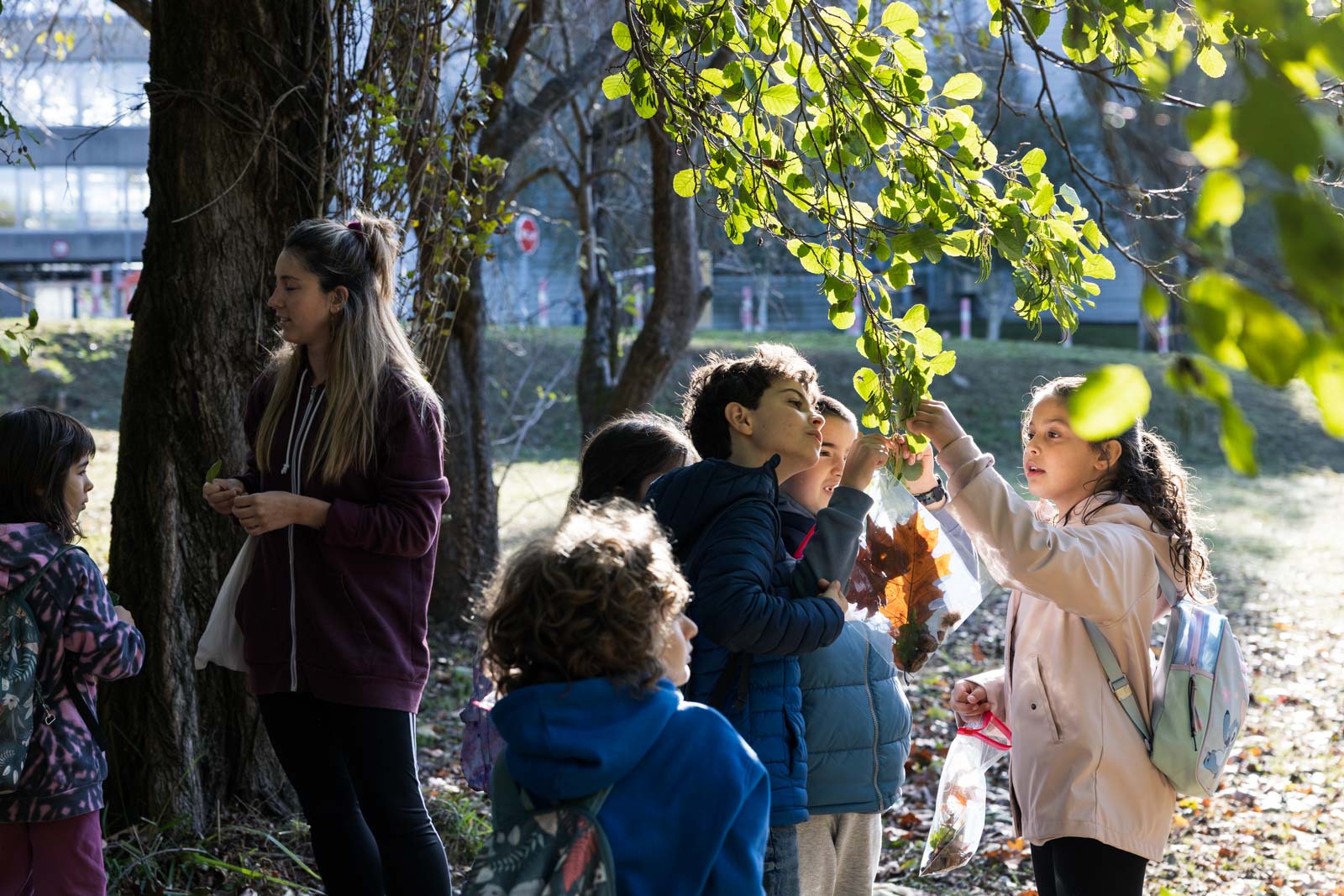 Escolares descubriendo la naturaleza