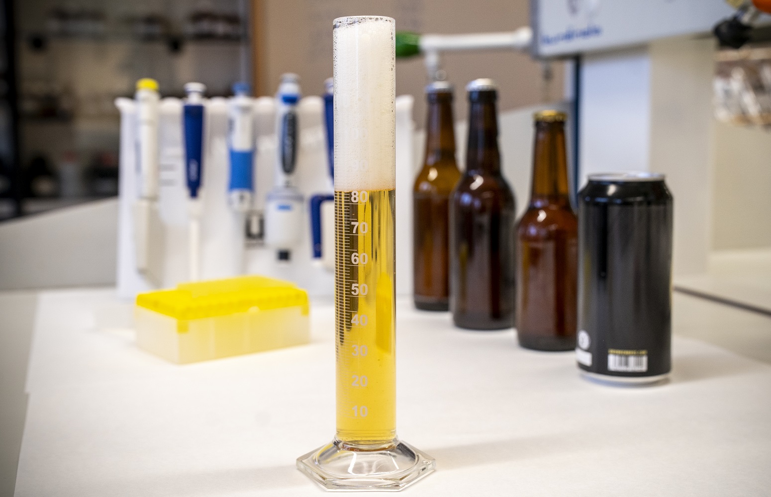 Algunas de las cervezas incluidas en la investigación; una de las muestras analizadas en una probeta.