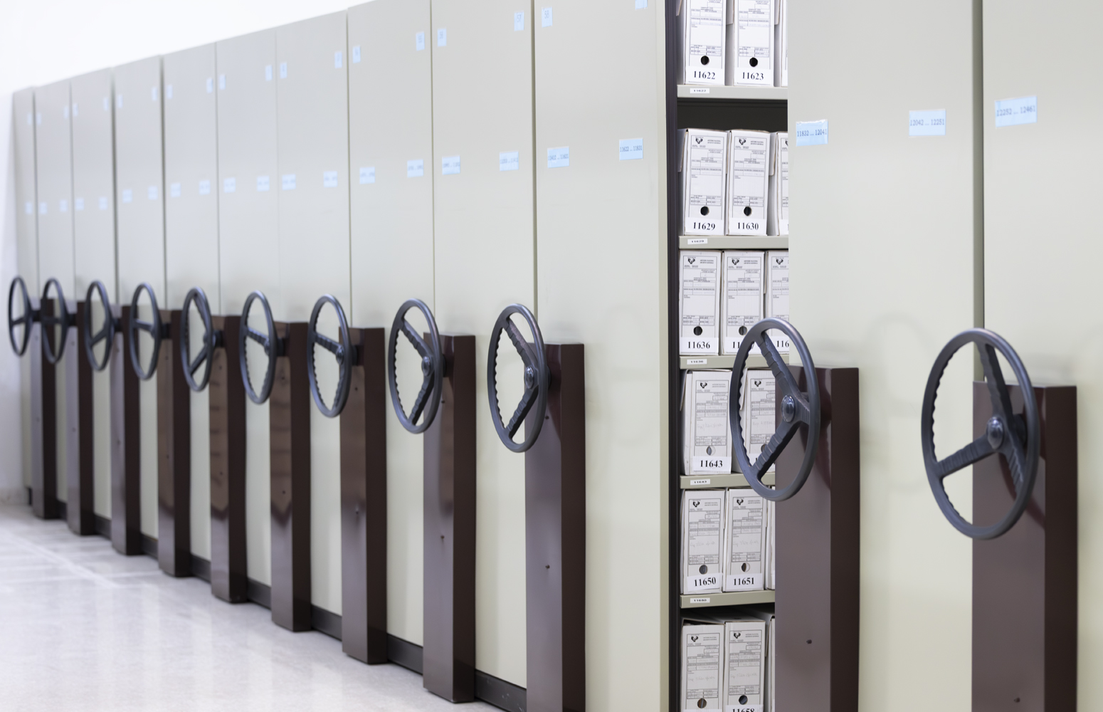 Depósito del Archivo General del Campus de Bizkaia de la EHU