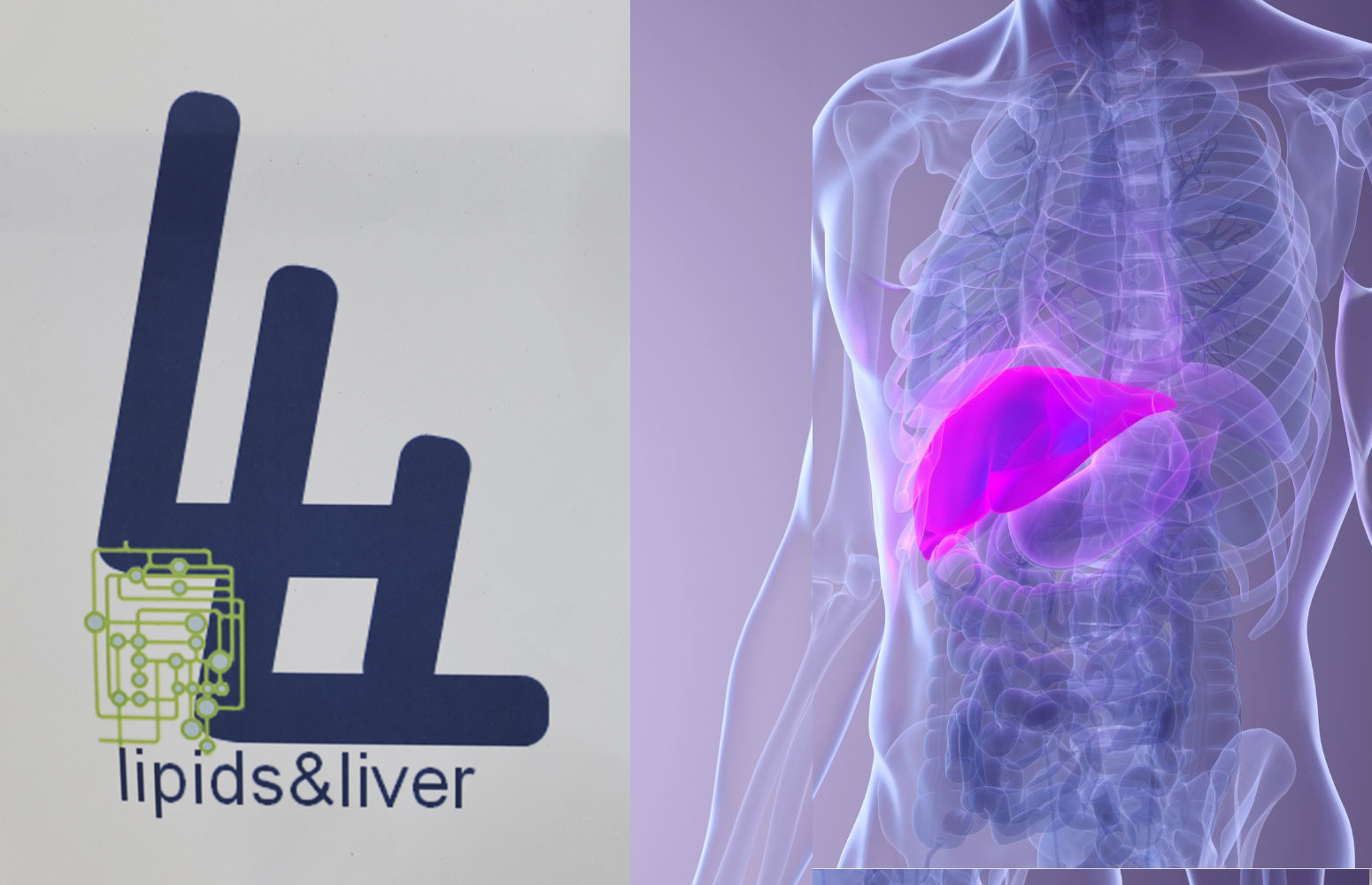 LIPIDS&amp;LIVER Ikerketa Taldearen logotipoa