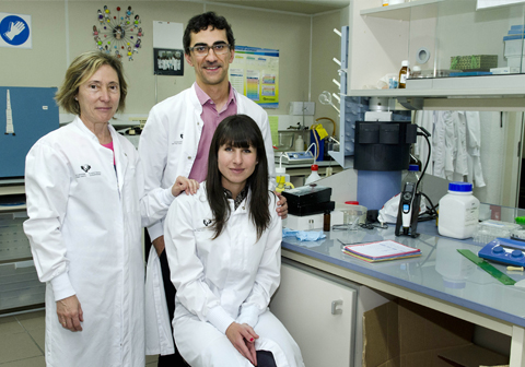 De izquierda a derecha, Rosa María Alonso, Itxaso San Román y Luis Bartolomé